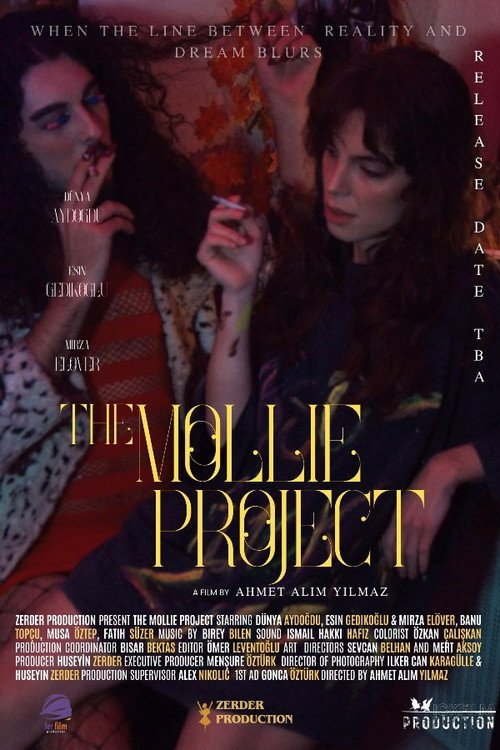 The Mollie Project afişi