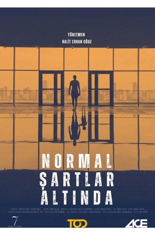 Normal Şartlar Altında 2025 afişi