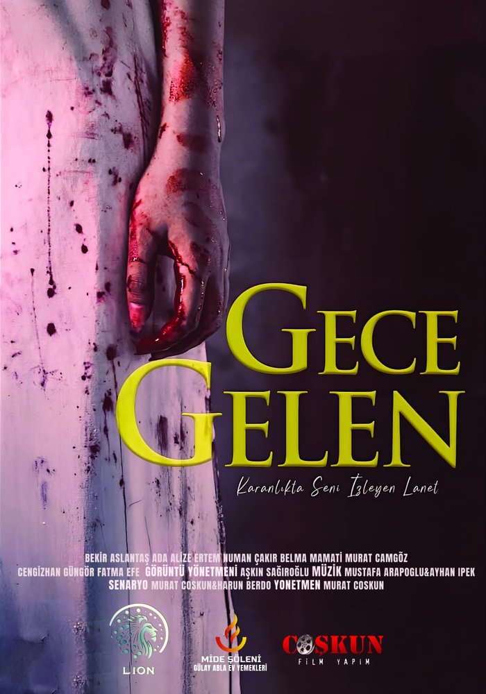 Gece Gelen afişi