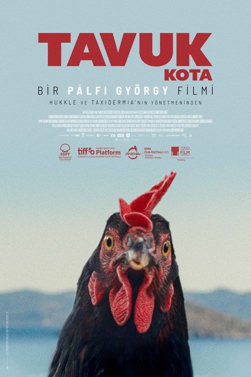 Tavuk afişi