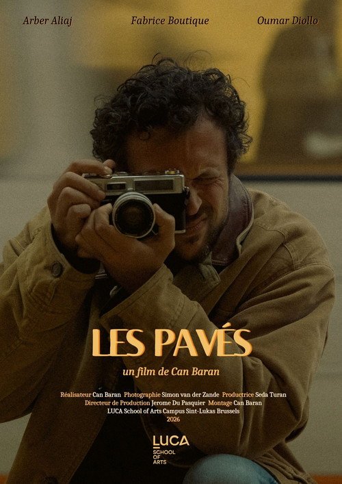 Les Pavés afişi
