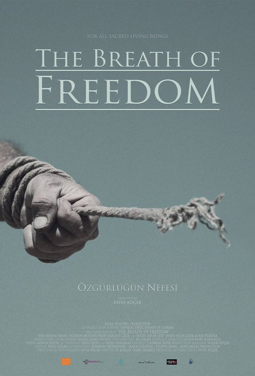 Özgürlüğün Nefesi afişi