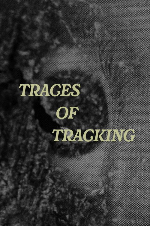 Traces of Tracking afişi
