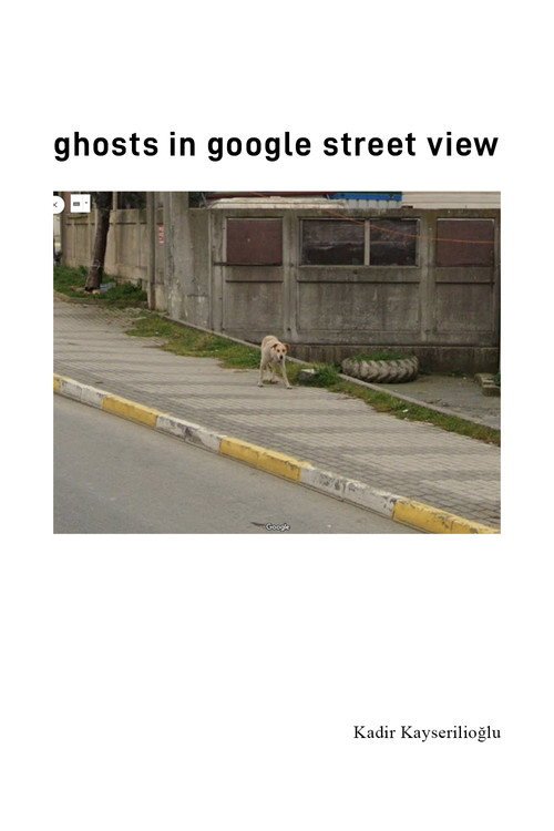 Ghosts In Google Street View afişi