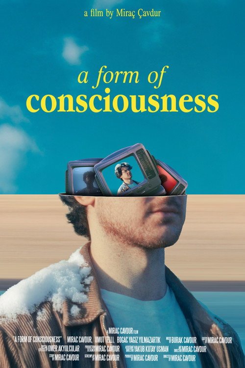 A Form of Consciousness afişi