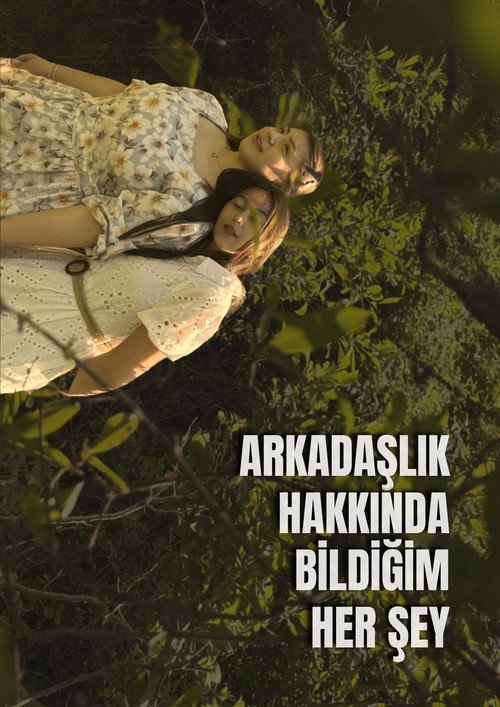 Arkadaşlık Hakkında Bildiğim Her Şey afişi