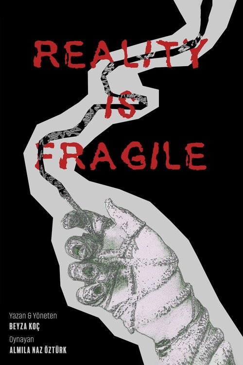 Reality Is Fragile afişi